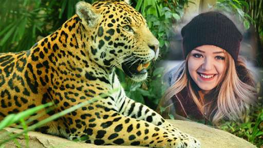 Run android online APK Wild Animal Camera Photo  Editor from MyAndroid or emulate Wild Animal Camera Photo  Editor using MyAndroid