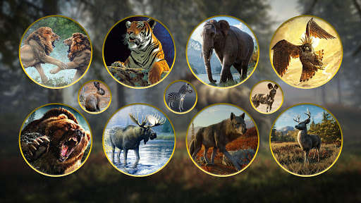 Run android online APK Wild Animal Hunting Adventure:Shooting Sniper Game from MyAndroid or emulate Wild Animal Hunting Adventure:Shooting Sniper Game using MyAndroid Run android online APK Wild Animal Hunting Adventure:Shooting Sniper Game from MyAndroid or emulate Wild Animal Hunting Adventure:Shooting Sniper Game using MyAndroid