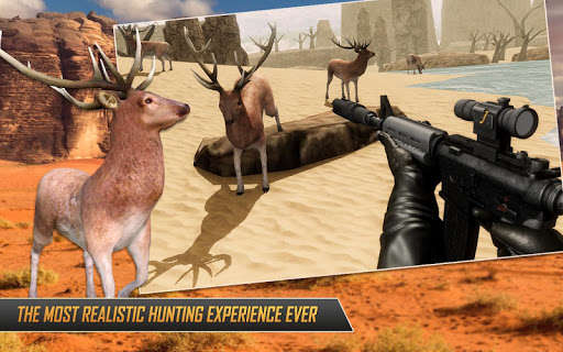 Run android online APK Wild Animal Hunting Game : Sniper 3D Deer Hunter from MyAndroid or emulate Wild Animal Hunting Game : Sniper 3D Deer Hunter using MyAndroid Run android online APK Wild Animal Hunting Game : Sniper 3D Deer Hunter from MyAndroid or emulate Wild Animal Hunting Game : Sniper 3D Deer Hunter using MyAndroid