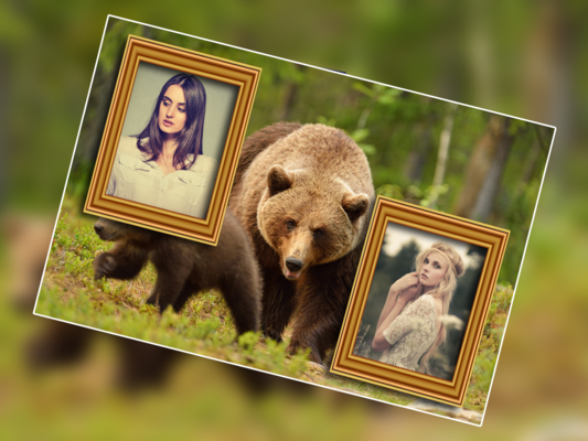 Emulate Android APK Wild Animal Photo Frame Dual