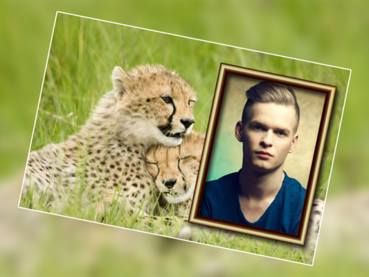 Emulate Android APK Wild Animal Photo Frame New Emulate Android APK Wild Animal Photo Frame New