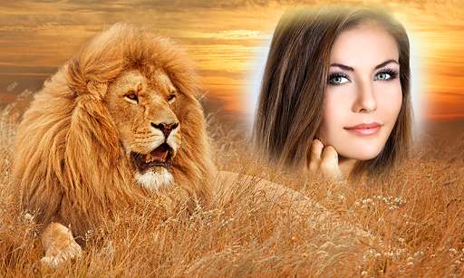 Run android online APK Wild Animal Photo Frames all from MyAndroid or emulate Wild Animal Photo Frames all using MyAndroid Run android online APK Wild Animal Photo Frames all from MyAndroid or emulate Wild Animal Photo Frames all using MyAndroid