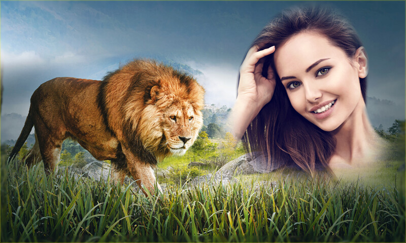 Run android online APK Wild Animal Photo Frames from MyAndroid or emulate Wild Animal Photo Frames using MyAndroid