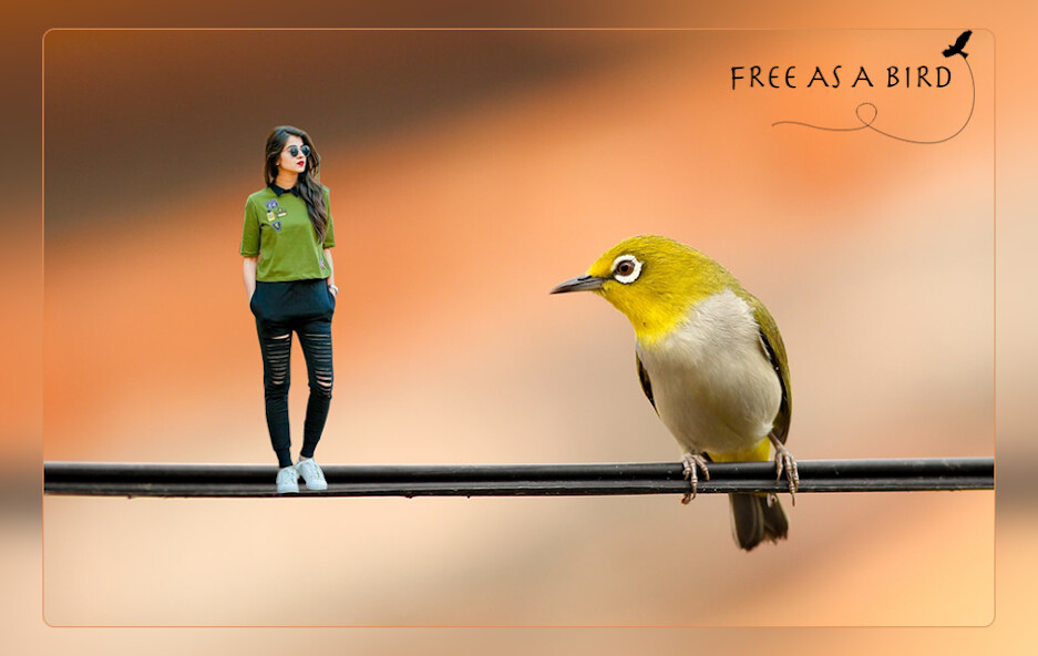 Run android online APK Wild Animal Photo Maker : Animals Photo Editor from MyAndroid or emulate Wild Animal Photo Maker : Animals Photo Editor using MyAndroid