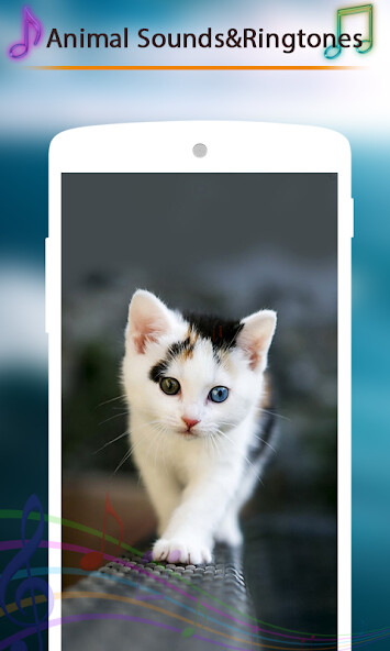 Run android online APK Wild Animals Sounds and Ringto from MyAndroid or emulate Wild Animals Sounds and Ringto using MyAndroid Run android online APK Wild Animals Sounds and Ringto from MyAndroid or emulate Wild Animals Sounds and Ringto using MyAndroid