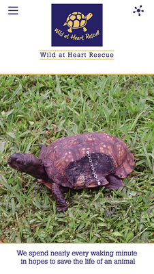 Emulate Android APK Wild at Heart Rescue