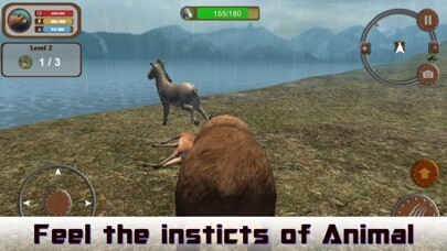 Emulate iPhone app Wild Bear 3D Hunting Simulator using MyAndroid