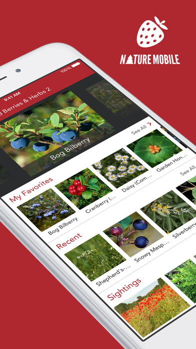 Emulate iPhone app Wild Berries and Herbs LITE using MyAndroid Emulate iPhone app Wild Berries and Herbs LITE using MyAndroid