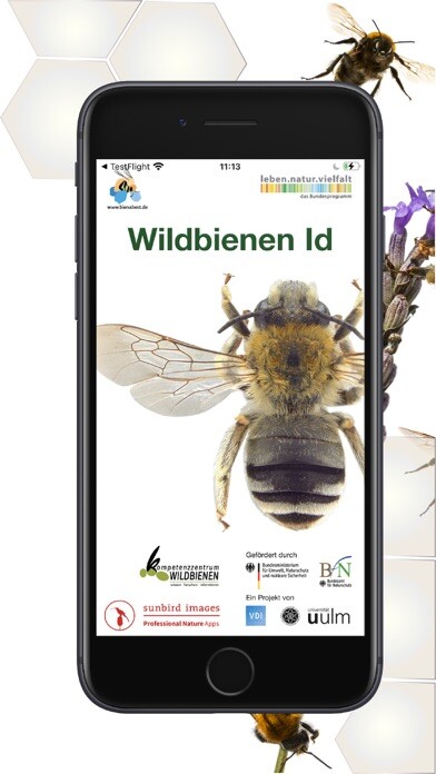Run android online APK Wildbienen Id BienABest from MyAndroid or emulate Wildbienen Id BienABest using MyAndroid Run android online APK Wildbienen Id BienABest from MyAndroid or emulate Wildbienen Id BienABest using MyAndroid