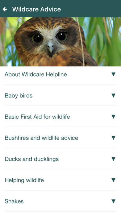 Emulate iPhone app Wildcare Helpline using MyAndroid