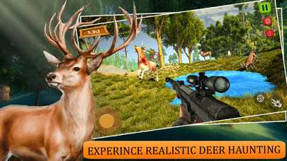 Emulate iPhone app Wild Deer Forest Safari Quest using MyAndroid
