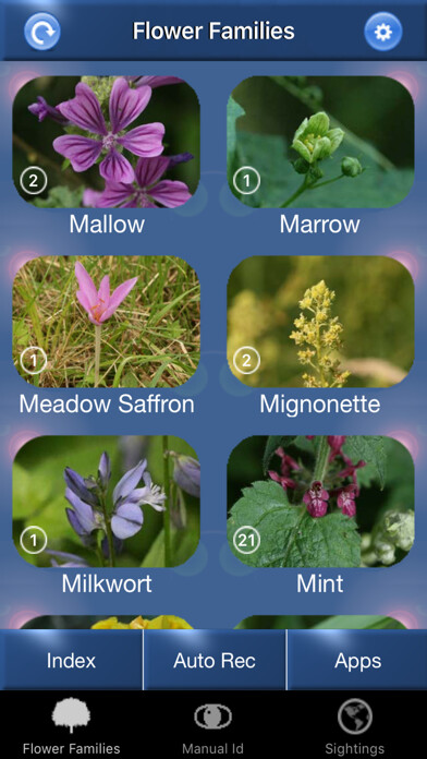 Emulate iPhone app Wild Flower Id British Isles using MyAndroid