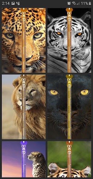 Run android online APK Wild Kitty Zipper Lock Screen from MyAndroid or emulate Wild Kitty Zipper Lock Screen using MyAndroid Run android online APK Wild Kitty Zipper Lock Screen from MyAndroid or emulate Wild Kitty Zipper Lock Screen using MyAndroid