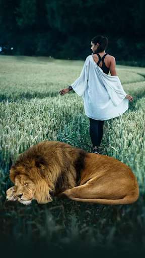 Run android online APK Wildlife Animal Camera Photo Editor from MyAndroid or emulate Wildlife Animal Camera Photo Editor using MyAndroid Run android online APK Wildlife Animal Camera Photo Editor from MyAndroid or emulate Wildlife Animal Camera Photo Editor using MyAndroid