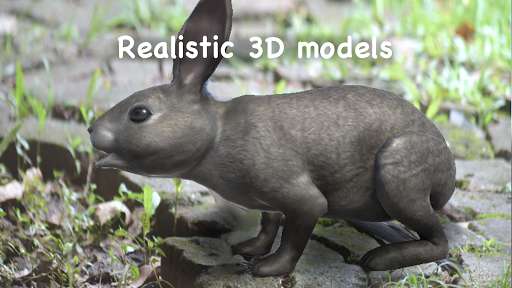 Run android online APK Wildlife AR - ARCore from MyAndroid or emulate Wildlife AR - ARCore using MyAndroid