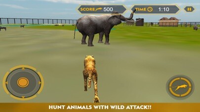 Emulate iPhone app Wildlife cheetah Attack simulator 3D – Chase the wild animals, hunt them in this safari adventure using MyAndroid Emulate iPhone app Wildlife cheetah Attack simulator 3D – Chase the wild animals, hunt them in this safari adventure using MyAndroid