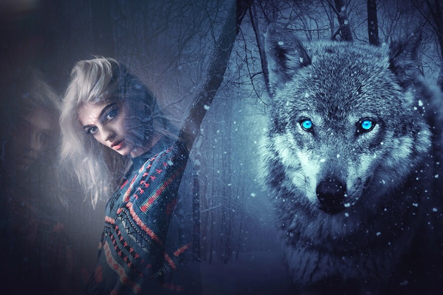 Run android online APK Wild Life Photo Frame from MyAndroid or emulate Wild Life Photo Frame using MyAndroid