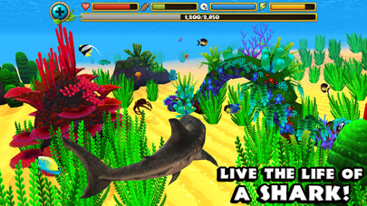 Emulate iPhone app Wildlife Simulator: Shark using MyAndroid Emulate iPhone app Wildlife Simulator: Shark using MyAndroid
