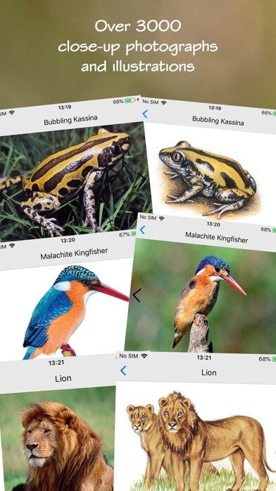 Emulate iPhone app Wildlife Southern Africa using MyAndroid Emulate iPhone app Wildlife Southern Africa using MyAndroid