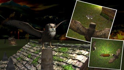 Emulate iPhone app Wild Owl Flying Simulator 3D using MyAndroid Emulate iPhone app Wild Owl Flying Simulator 3D using MyAndroid