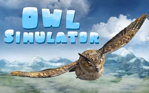 Run android online APK Wild Owl Simulator 3D from MyAndroid or emulate Wild Owl Simulator 3D using MyAndroid Run android online APK Wild Owl Simulator 3D from MyAndroid or emulate Wild Owl Simulator 3D using MyAndroid