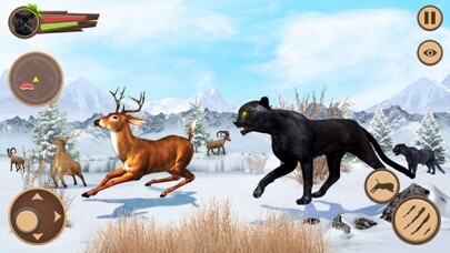 Emulate iPhone app Wild Panther Simulator Games using MyAndroid