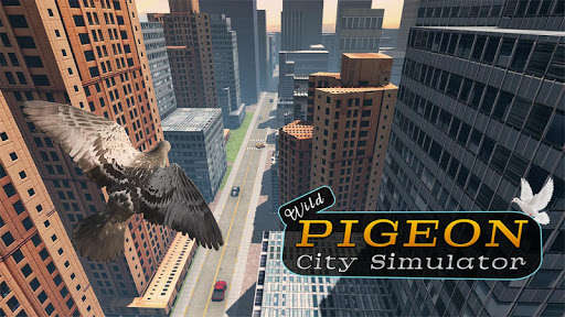 Run android online APK Wild Pigeon Birds Simulator 3D from MyAndroid or emulate Wild Pigeon Birds Simulator 3D using MyAndroid