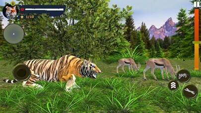 Emulate iPhone app Wild Tiger Simulator using MyAndroid