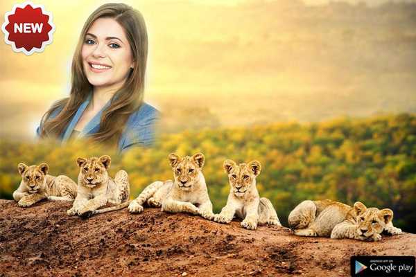 Emulate Android APK WilidLife Photo Frame Emulate Android APK WilidLife Photo Frame