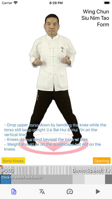 Emulate iPhone app Wing Chun Siu Nim Tau Form using MyAndroid