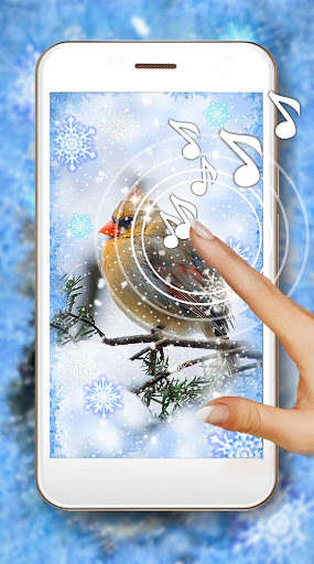 Run android online APK Winter Birds Forest from MyAndroid or emulate Winter Birds Forest using MyAndroid Run android online APK Winter Birds Forest from MyAndroid or emulate Winter Birds Forest using MyAndroid