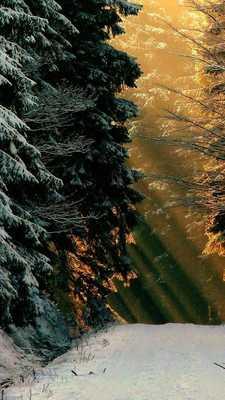 Emulate Android APK winter dreams live wallpaper Emulate Android APK winter dreams live wallpaper