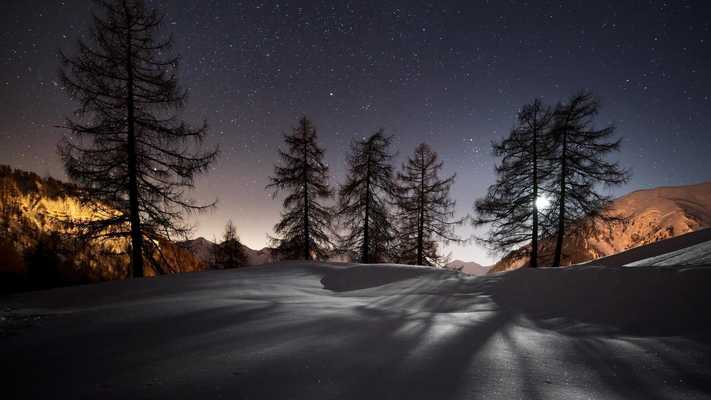 Emulate Android APK Winter forest landscapes Emulate Android APK Winter forest landscapes