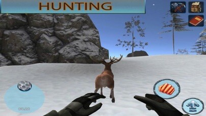 Emulate iPhone app Winter Forest Survival 3D using MyAndroid
