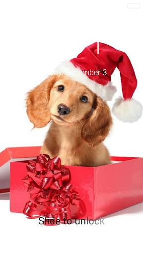 Run android online APK Winter Puppy Lock Screen from MyAndroid or emulate Winter Puppy Lock Screen using MyAndroid Run android online APK Winter Puppy Lock Screen from MyAndroid or emulate Winter Puppy Lock Screen using MyAndroid