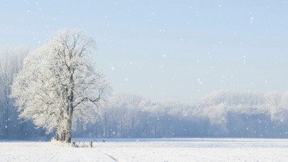Emulate iPhone app Winter Season Ambience using MyAndroid Emulate iPhone app Winter Season Ambience using MyAndroid