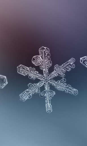 Run android online APK Winter Snowflakes Wallpaper from MyAndroid or emulate Winter Snowflakes Wallpaper using MyAndroid