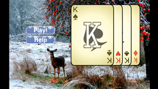 Emulate iPhone app Winter Solitaire - Patience! using MyAndroid