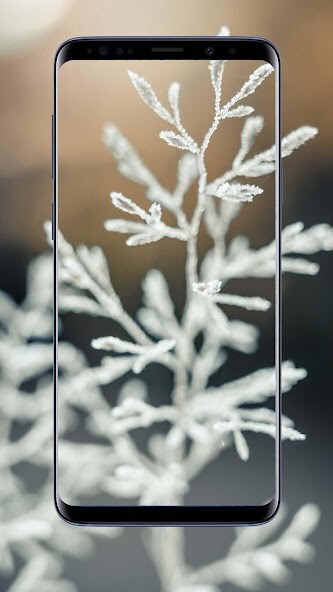 Run android online APK Winter Wallpapers And Backgrounds from MyAndroid or emulate Winter Wallpapers And Backgrounds using MyAndroid