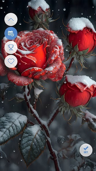 Run android online APK Winter Wallpapers in 4K from MyAndroid or emulate Winter Wallpapers in 4K using MyAndroid