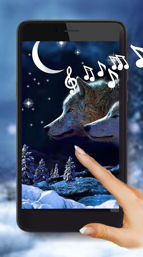 Run android online APK Winter Wolf Live Wallpaper from MyAndroid or emulate Winter Wolf Live Wallpaper using MyAndroid