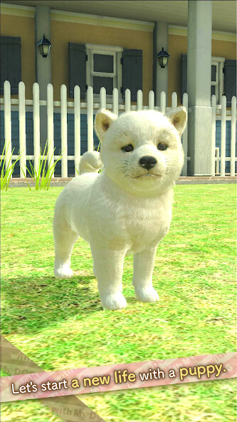 Run android online APK with My DOG (Trial Version) from MyAndroid or emulate with My DOG (Trial Version) using MyAndroid