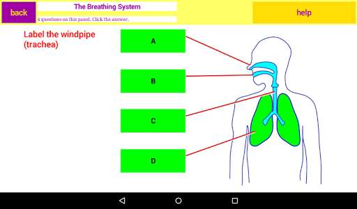 Run android online APK WJEC Year 10 Science Review from MyAndroid or emulate WJEC Year 10 Science Review using MyAndroid Run android online APK WJEC Year 10 Science Review from MyAndroid or emulate WJEC Year 10 Science Review using MyAndroid