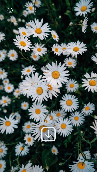 Emulate iPhone app WLPPR - backgrounds wallpapers using MyAndroid