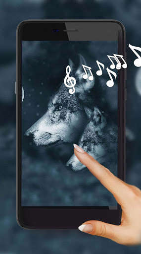 Run android online APK Wolf Eyes LWP from MyAndroid or emulate Wolf Eyes LWP using MyAndroid