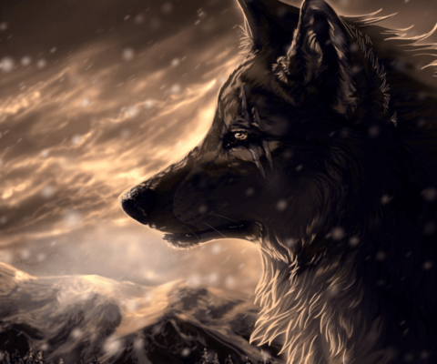 Emulate Android APK Wolf Images Wallpapers