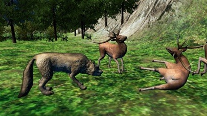 Emulate iPhone app WOLF LIFE - THE ULTIMATE SIMULATOR OF WILD WOLF using MyAndroid Emulate iPhone app WOLF LIFE - THE ULTIMATE SIMULATOR OF WILD WOLF using MyAndroid