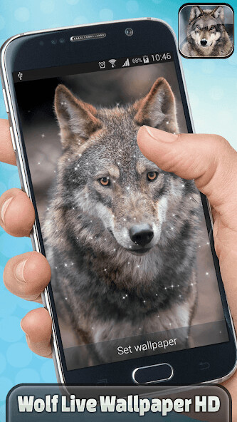 Run android online APK Wolf Live Wallpaper HD from MyAndroid or emulate Wolf Live Wallpaper HD using MyAndroid Run android online APK Wolf Live Wallpaper HD from MyAndroid or emulate Wolf Live Wallpaper HD using MyAndroid