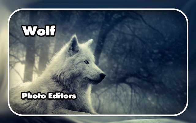 Emulate Android APK Wolf Photo Editors Emulate Android APK Wolf Photo Editors