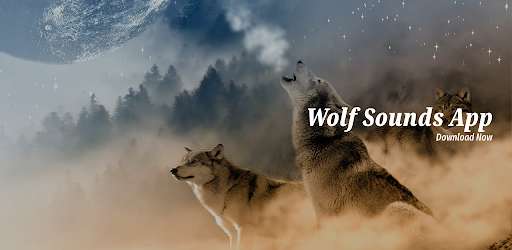 Run android online APK Wolf Sounds App from MyAndroid or emulate Wolf Sounds App using MyAndroid Run android online APK Wolf Sounds App from MyAndroid or emulate Wolf Sounds App using MyAndroid